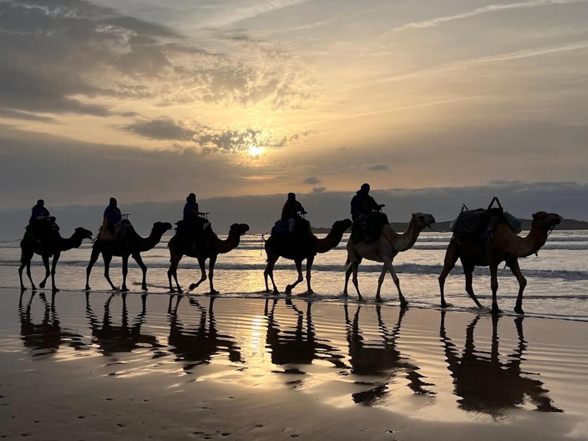 Surf Housemaroc Vandrehjem Essaouira Eksteriør billede
