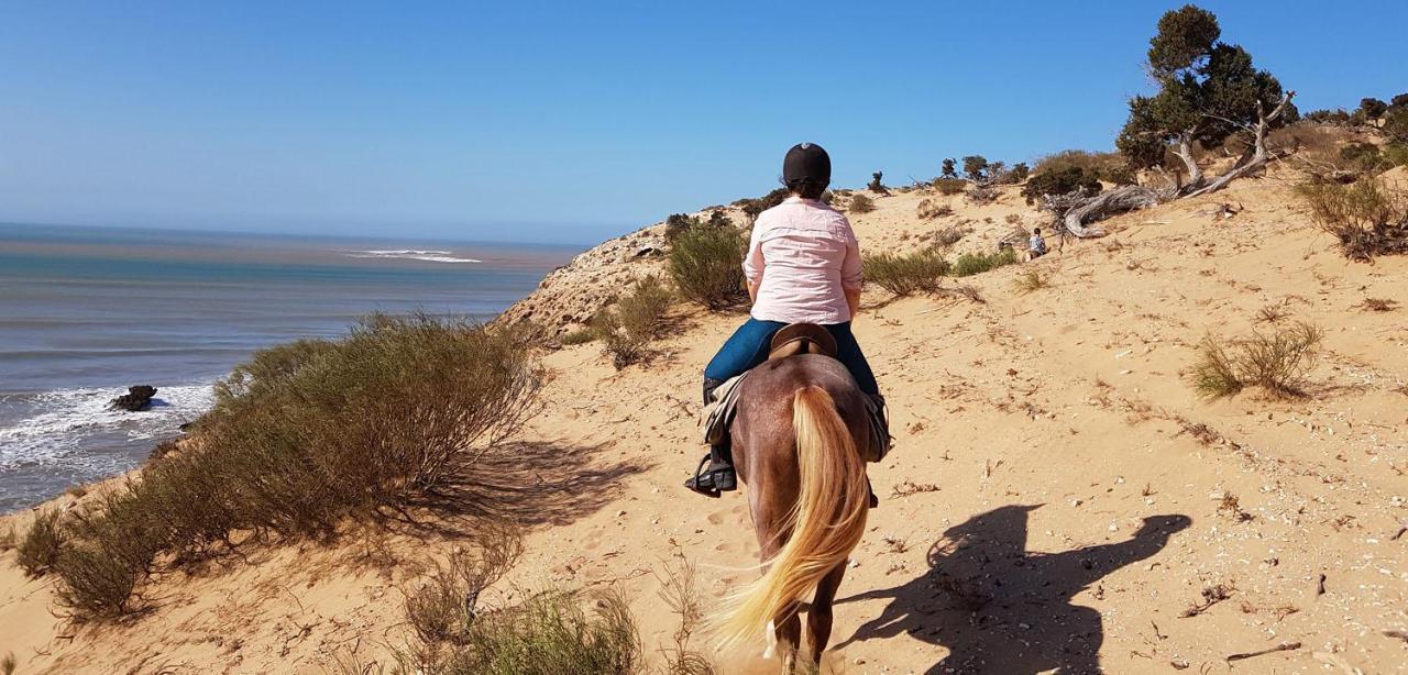 Surf Housemaroc Vandrehjem Essaouira Eksteriør billede